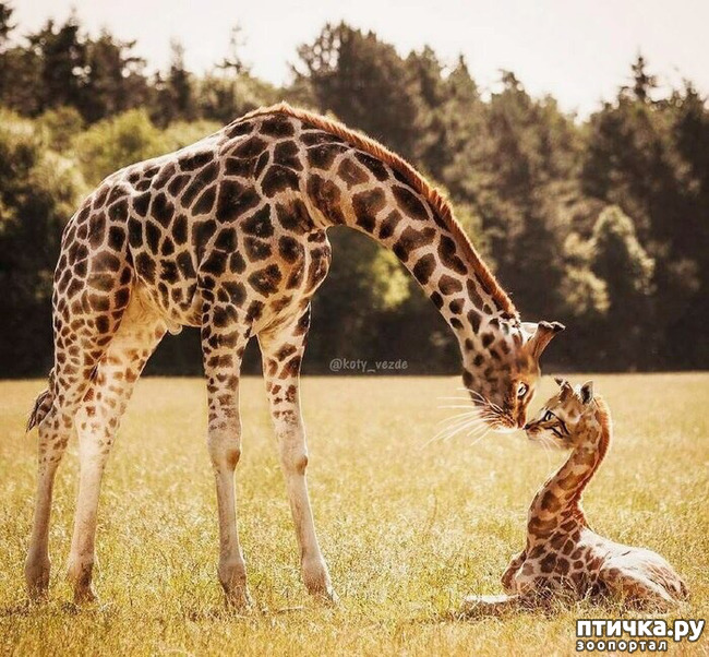 ���� 6: ������ ���� �� ������� ����� ��������!