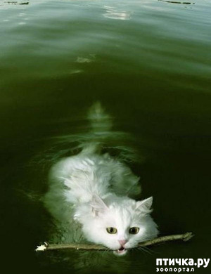 ����: ���������� ����� � ����� ��������...