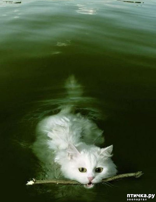 ���� 1: ���������� ����� � ����� ��������...