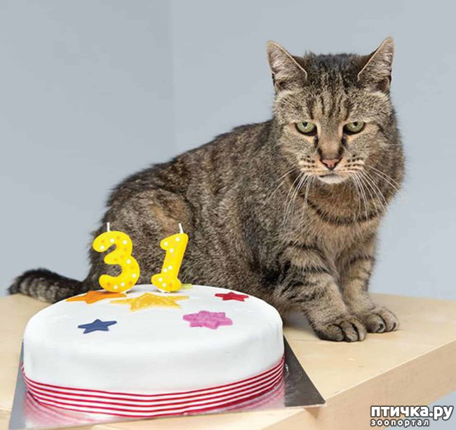 ���� 2: ���������� ����� � ����� ��������...