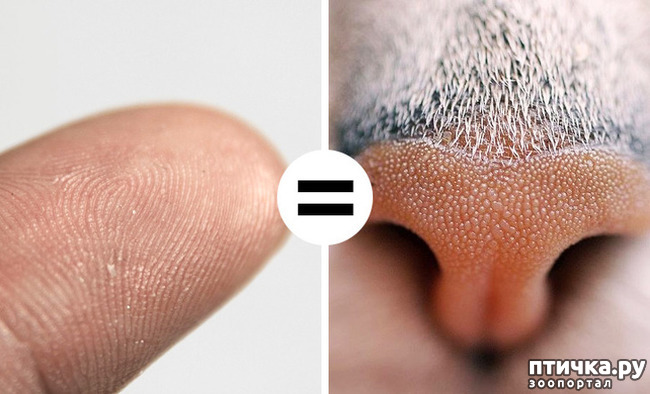 ���� 3: ���������� ����� � ����� ��������...