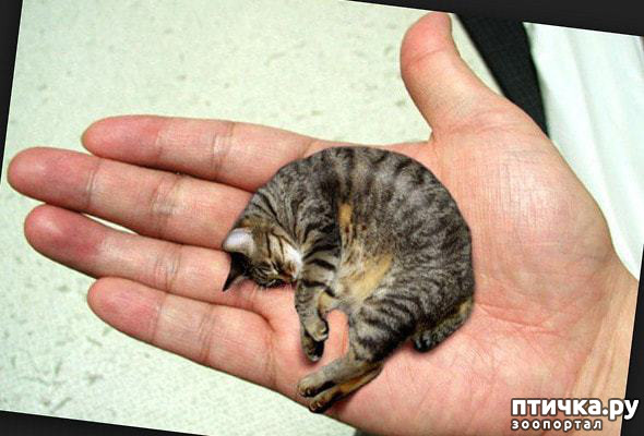 ���� 6: ���������� ����� � ����� ��������...