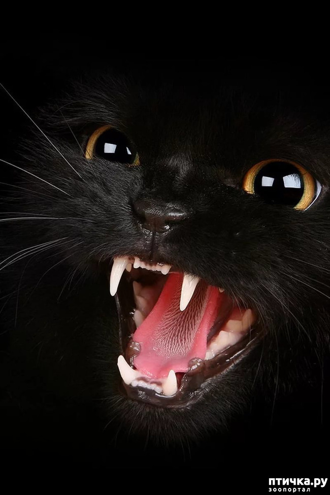 ���� 7: ���������� ����� � ����� ��������...