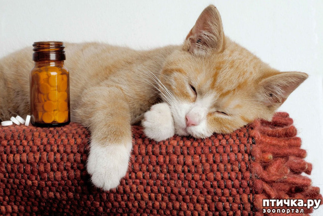 ���� 8: ���������� ����� � ����� ��������...