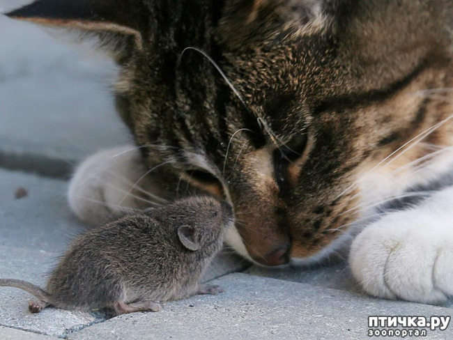 ���� 9: ���������� ����� � ����� ��������...