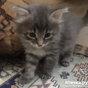 ����: � �������� �� �����