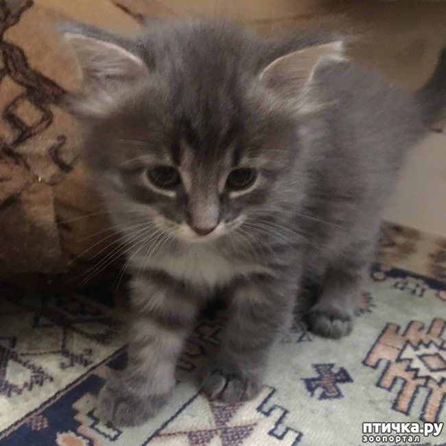 ���� 1: � �������� �� �����