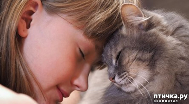 ���� 10: ���������� ����� � ����� ��������...