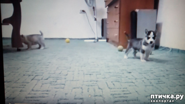 ���� 2: � �������� �� �����