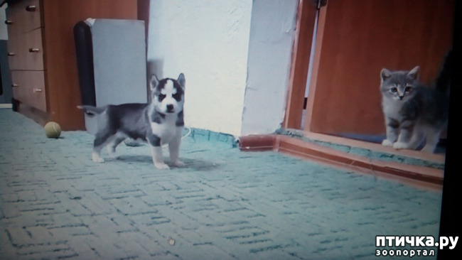 ���� 3: � �������� �� �����