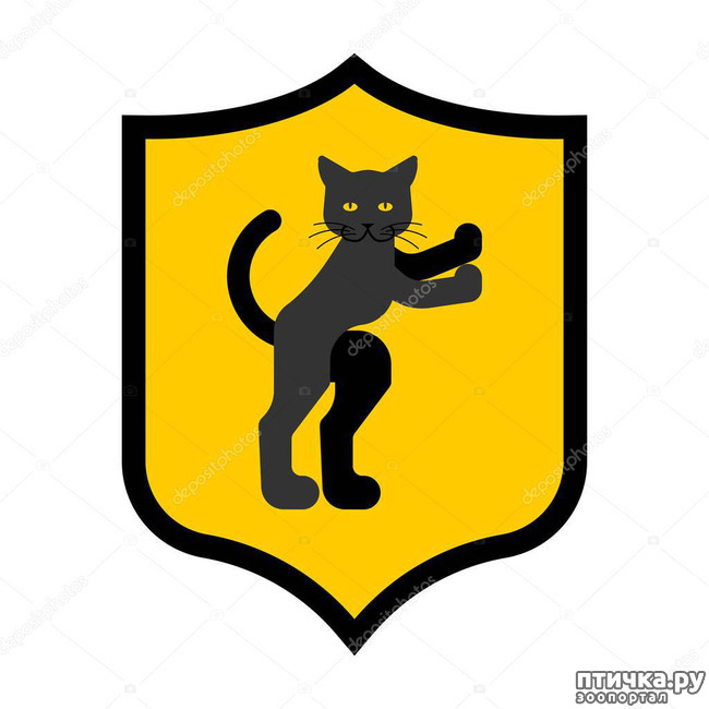 ���� 11: ���������� ����� � ����� ��������...