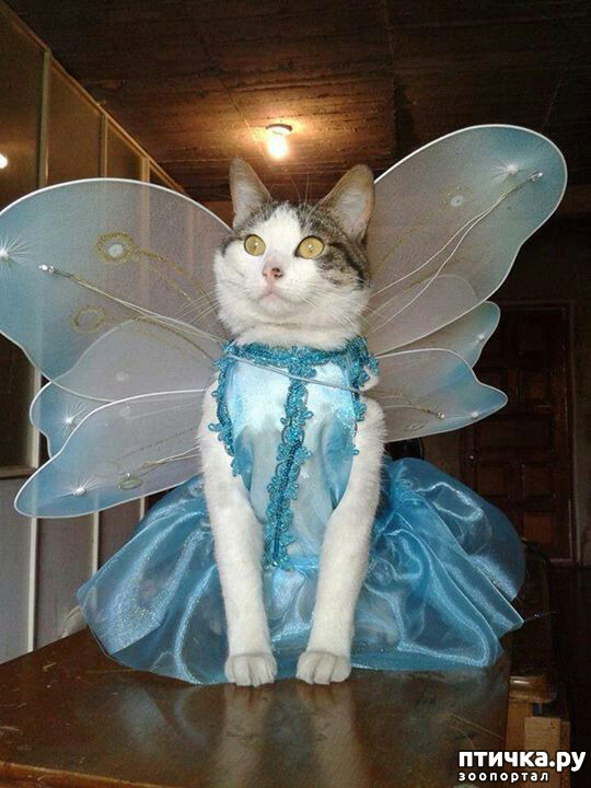 ���� 13: ���������� ����� � ����� ��������...