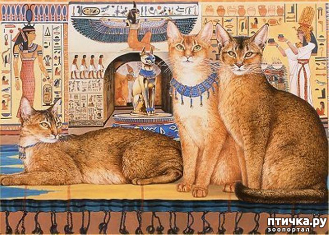 ���� 14: ���������� ����� � ����� ��������...