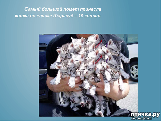 ���� 15: ���������� ����� � ����� ��������...