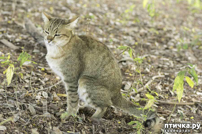 ���� 16: ���������� ����� � ����� ��������...