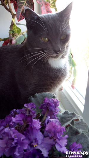 ����: ������ - ���������