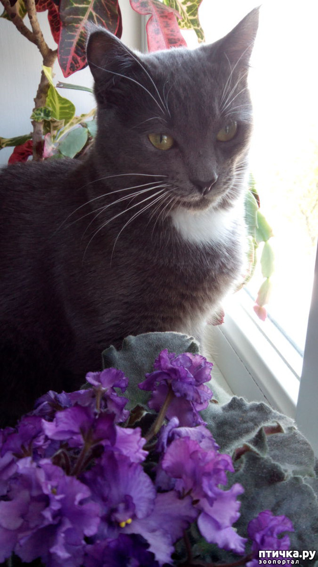 ���� 1: ������ - ���������