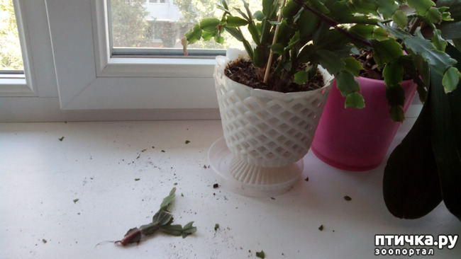 ���� 2: ������ - ���������