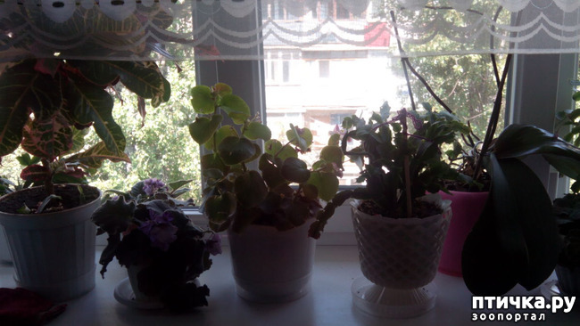 ���� 4: ������ - ���������