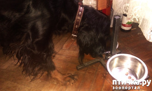 ����: ������ ���� 2. ����������� �������.