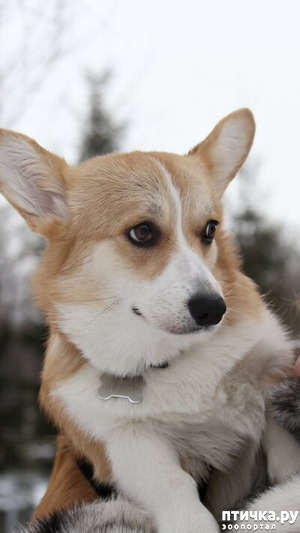 ����: ��� ������ � �� ������... ������� � ���, �����������, � ����� ������