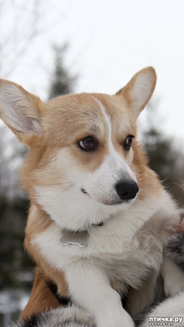 ���� 1: ��� ������ � �� ������... ������� � ���, �����������, � ����� ������