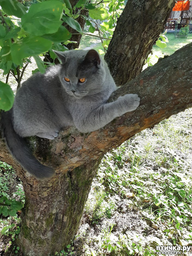 ���� 1: ������