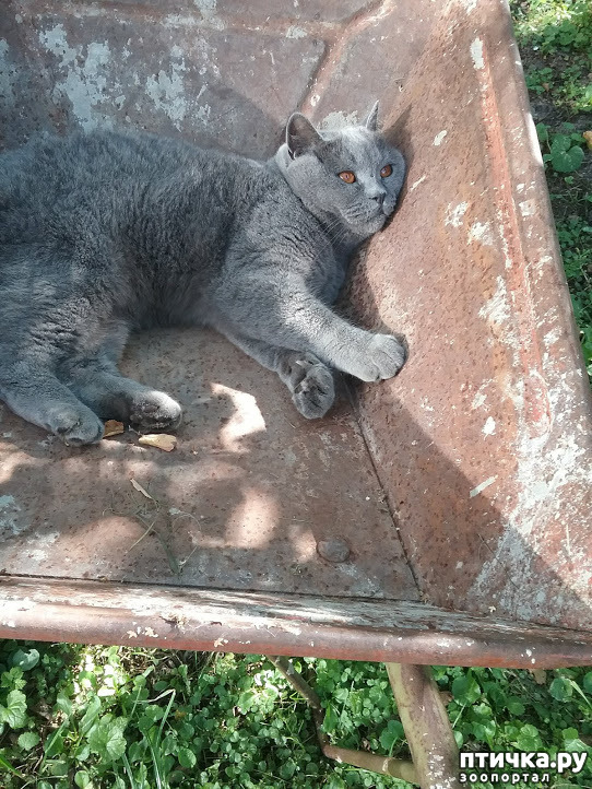 ���� 2: ������