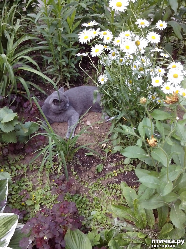 ���� 3: ������