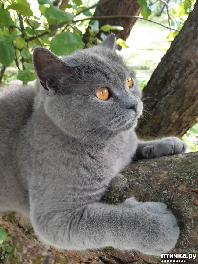 ���� 4: ������