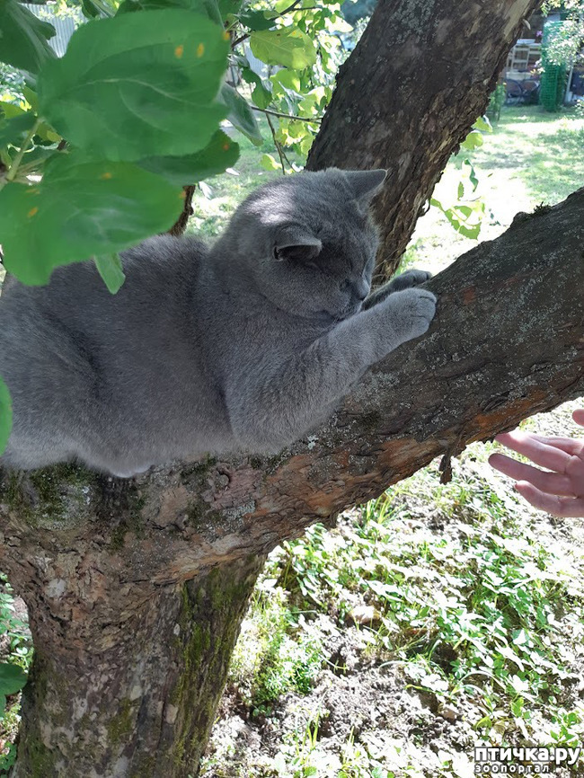 ���� 5: ������