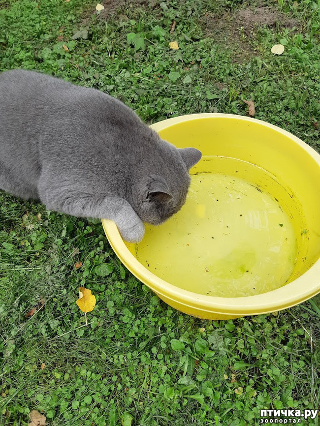 ���� 6: ������