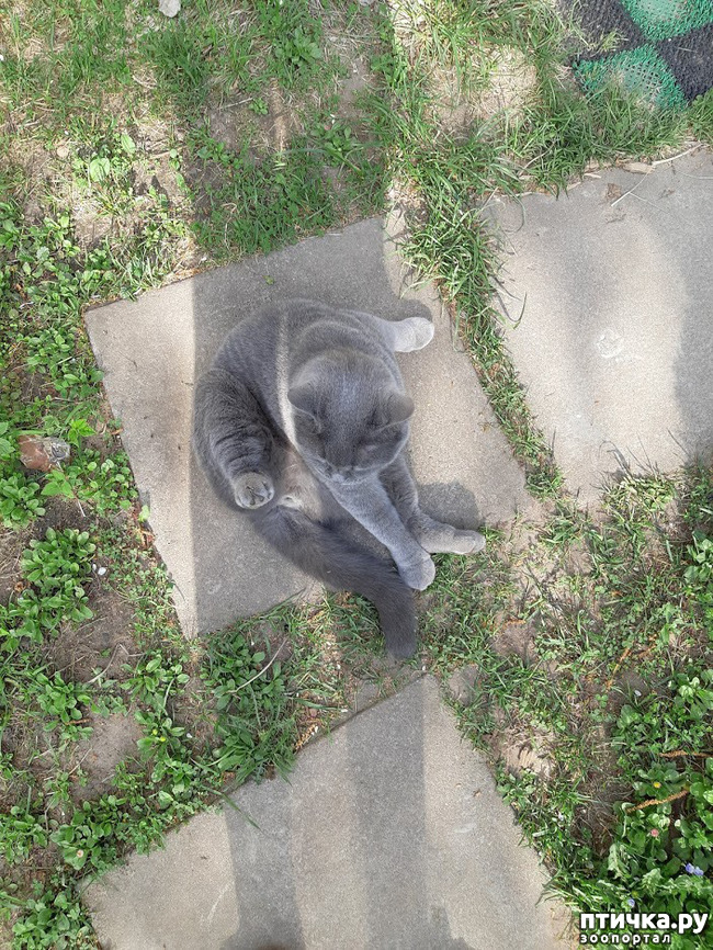 ���� 7: ������