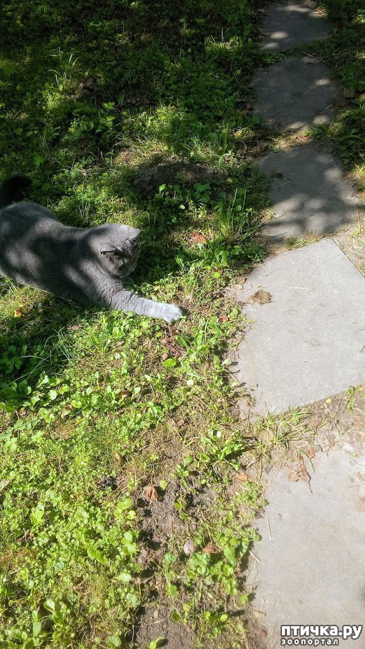 ���� 9: ������