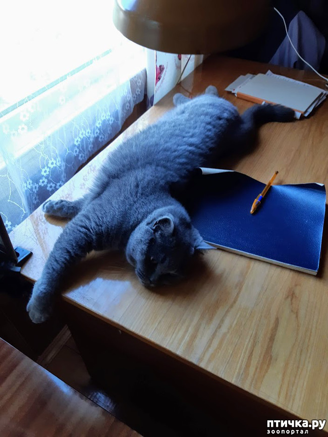 ���� 10: ������