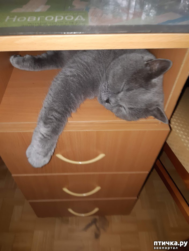 ���� 11: ������