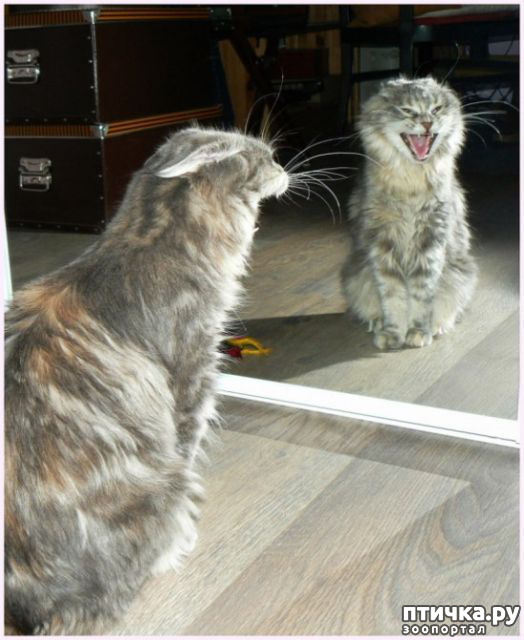 ���� 12: ���������� �������)