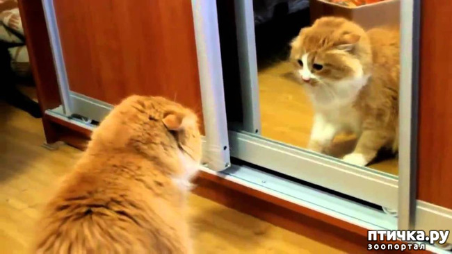 ���� 13: ���������� �������)