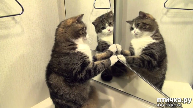 ���� 14: ���������� �������)