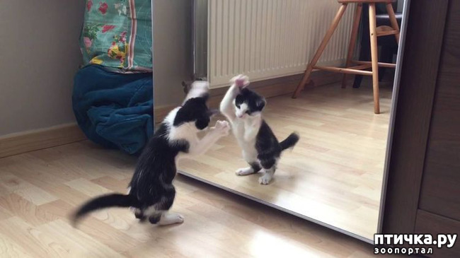 ���� 15: ���������� �������)