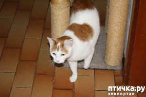 ����: ��������� ��� �����.