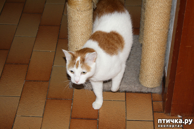 ���� 1: ��������� ��� �����.