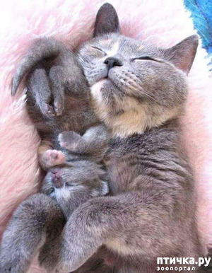 ����: � ����� �����