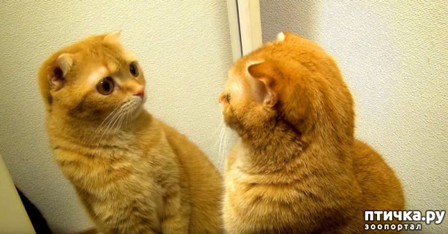 ���� 10: ���������� �������)