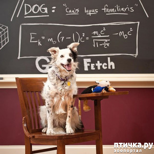 ����: ������ ����� ����� ������ � ����...