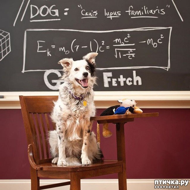 ���� 1: ������ ����� ����� ������ � ����...