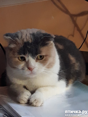 ����: ��� �� ������ ������ ��� ����� ������ ������