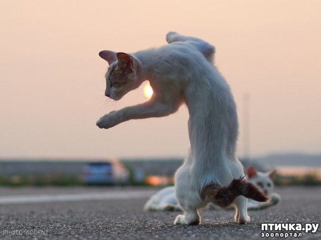 ���� 8: ���� ������!