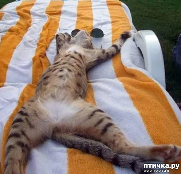 ���� 9: ���� ������!