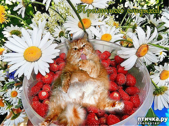 ���� 4: ���� ������!